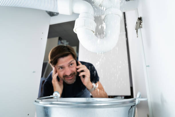 Best Water Leak Repair  in Williston Park, NY