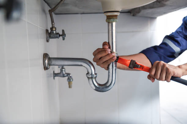 Best Leak Detection Services  in Williston Park, NY